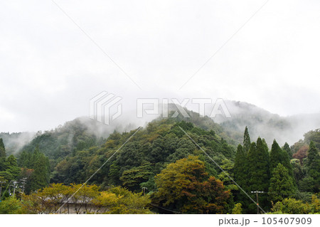城崎温泉の裏山_朝霧のかかる裏山_もののけ姫の森風 城崎温泉の裏山_朝霧のかかる裏山_もののけ姫の森風 105407909