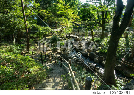 東京都品川区豊町の戸越公園 105408291