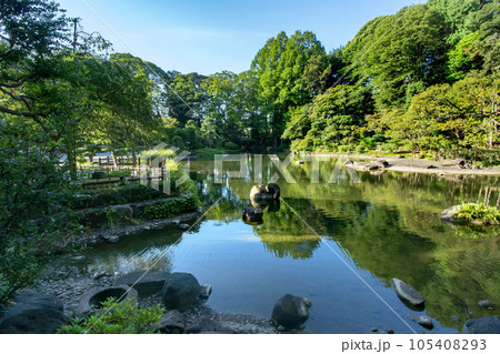東京都品川区豊町の戸越公園 105408293