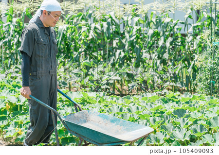 キャリーカートを持って畑を歩く農家のアジア人男性（農業・田舎暮らし） 105409093