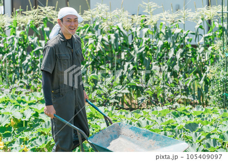 キャリーカートを持って畑を歩く農家のアジア人男性（農業・田舎暮らし） 105409097