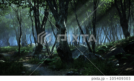 Deep tropical jungle in darkness Deep tropical jungle in darkness 105409303