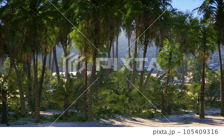 Palm Beach In Tropical Idyllic Paradise Island 105409316