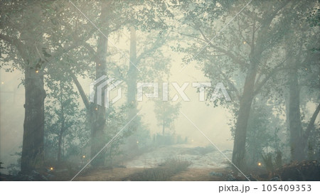 foreat at hight with bright moon light 105409353