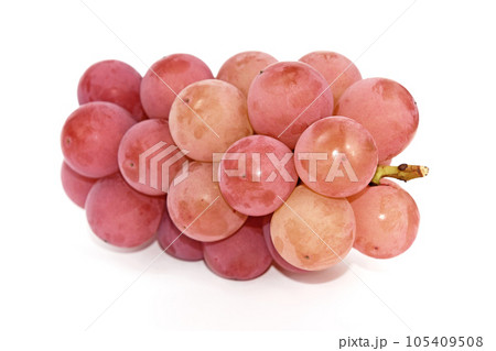 ぶどう(シナノスマイル) ぶどう(シナノスマイル) 105409508