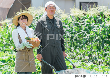 畑で野菜を収穫する農家・生産者の女性・男性・夫婦（アジア人・日本人・中国人） 105409623