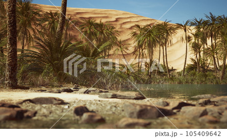 Green oasis with pond in Sahara desert 105409642