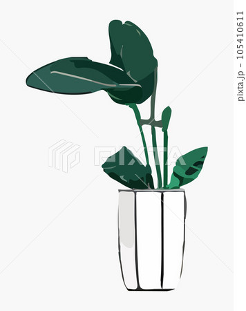 Plant in pot vector illustration. Cartoon flat different indoor potted decorative houseplant for interior home or office decoration, green garden floral icon isolated on white. 105410611