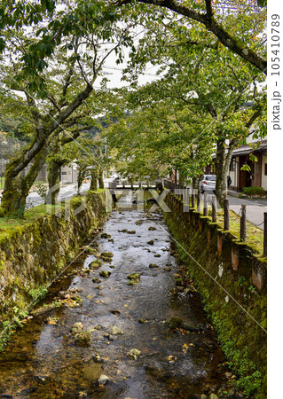 城崎温泉の街並み_石畳と木橋の温泉街散歩 城崎温泉の街並み_石畳と木橋の温泉街散歩 105410789