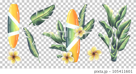 Surfboard in yellow and green with stripes with tropical leaves and frangipani flowers. Watercolor illustration hand drawn. Set of isolated elements on a white background. 105411601