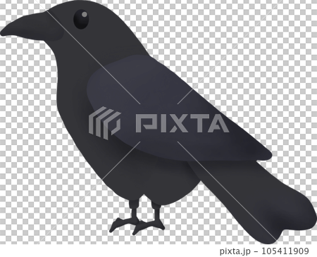 Halloween animal bird, witch's raven clipart 105411909