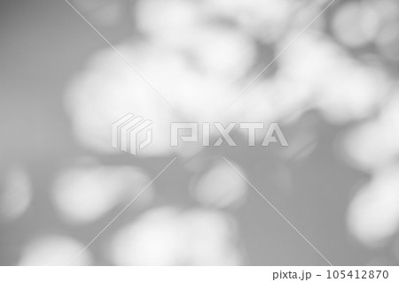 Abstract natural tree leaves shadow on white wall background Abstract natural tree leaves shadow on white wall background 105412870