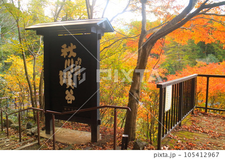 秋の秋川渓谷 秋の秋川渓谷 105412967