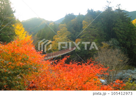 秋の秋川渓谷 秋の秋川渓谷 105412973