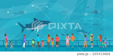 People watching underwater scenery with sea animals in oceanarium. Underwater fauna in aquarium People watching underwater scenery with sea animals in oceanarium. Underwater fauna in aquarium 105413668