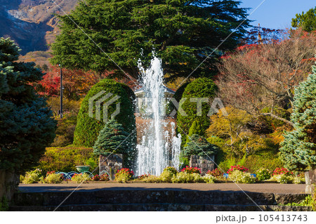 日本屈指の観光地 箱根の秋 紅葉の箱根強羅公園 日本屈指の観光地 箱根の秋 紅葉の箱根強羅公園 105413743
