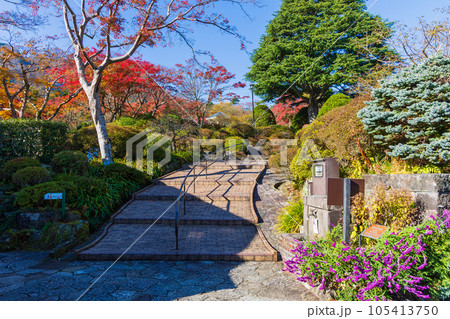 日本屈指の観光地　箱根の秋　紅葉の箱根強羅公園 105413750