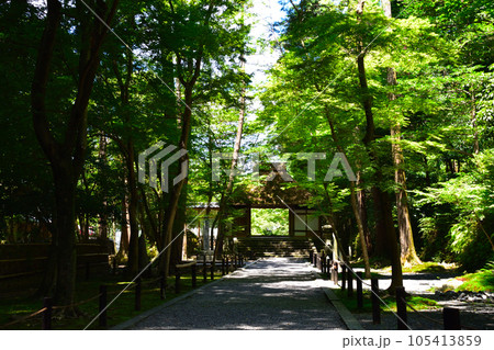 京都 法然院 京都 法然院 105413859