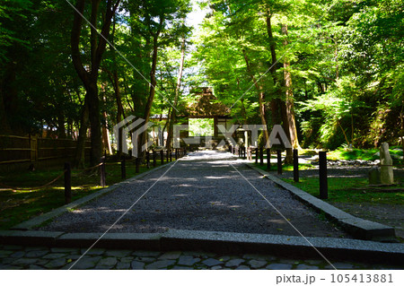 京都　法然院 105413881