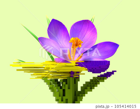 3d glitch of flower crocus. NFT concept. 105414015