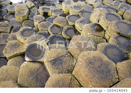 北アイルランド ジャイアンツコーズウェイ 石柱 105414045