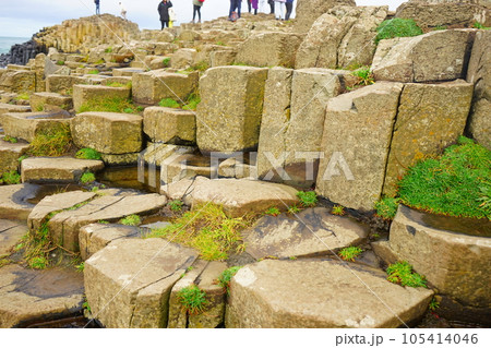 北アイルランド ジャイアンツコーズウェイ 石柱 105414046