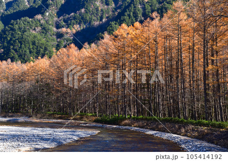 秋 上高地 梓川 秋 上高地 梓川 105414192