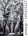 仙台定禅寺通り_2023年_赤外線写真 105415227