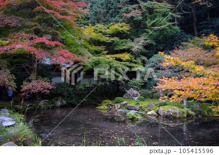 【秋の京都観光】南禅院と天授庵_日本庭園の紅葉 【秋の京都観光】南禅院と天授庵_日本庭園の紅葉 105415596