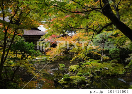 【秋の京都観光】南禅院と天授庵_日本庭園の紅葉 105415602