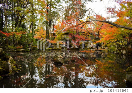 【秋の京都観光】南禅院と天授庵_日本庭園の紅葉 【秋の京都観光】南禅院と天授庵_日本庭園の紅葉 105415643