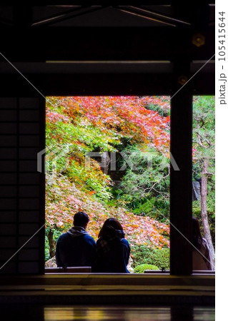 【秋の京都観光】南禅院と天授庵_日本庭園の紅葉とデートカップル 105415644