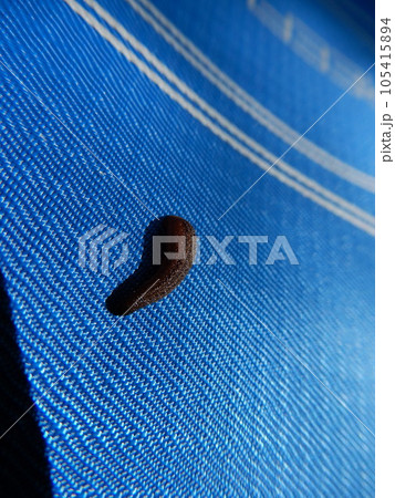 ヤマビル 105415894