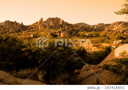 Texas Canyon Sonora Desert Arizona Sunset Texas Canyon Sonora Desert Arizona Sunset 105416601