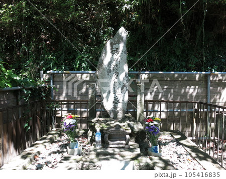 鴨川市小湊の誕生寺にある鯛塚(妙の浦タイ之墓) 鴨川市小湊の誕生寺にある鯛塚(妙の浦タイ之墓) 105416835