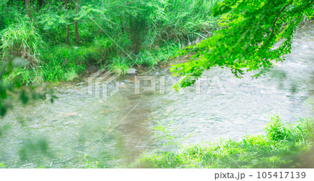 京都の日本庭園の風景 京都の日本庭園の風景 105417139