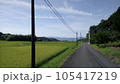 緑の田んぼとどこまでも続く道 105417219
