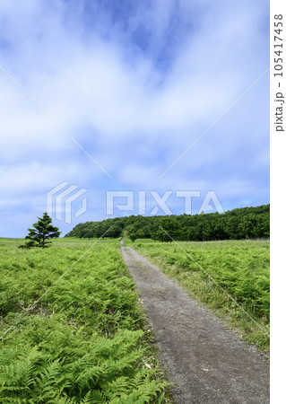 知床フレペの滝付近を歩く 知床フレペの滝付近を歩く 105417458