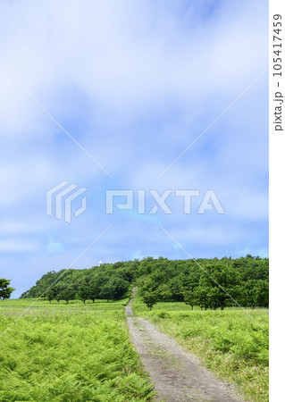 知床フレペの滝付近を歩く 知床フレペの滝付近を歩く 105417459