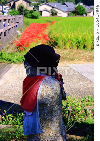 橘寺(奈良県明日香村)近辺に咲く彼岸花 橘寺(奈良県明日香村)近辺に咲く彼岸花 105417946