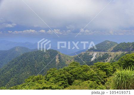 高山植物が咲く夏の伊吹山 高山植物が咲く夏の伊吹山 105419371