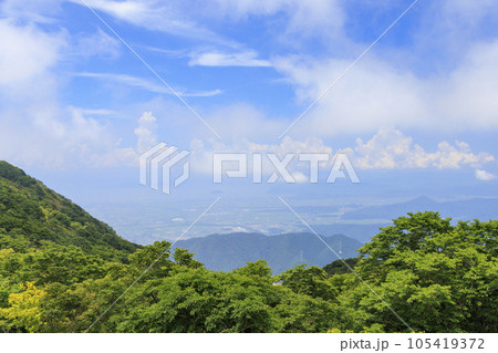 高山植物が咲く夏の伊吹山 高山植物が咲く夏の伊吹山 105419372