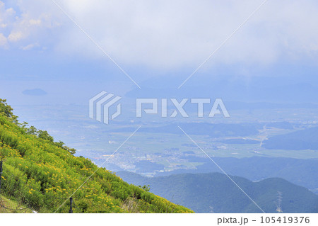 高山植物が咲く夏の伊吹山 高山植物が咲く夏の伊吹山 105419376
