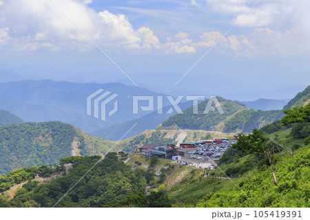 高山植物が咲く夏の伊吹山 105419391