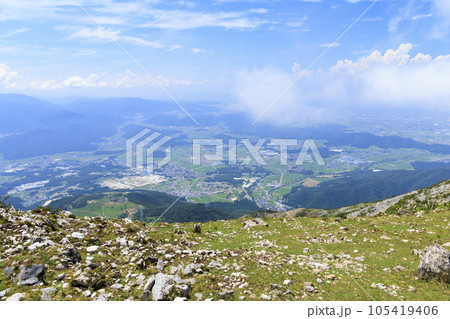高山植物が咲く夏の伊吹山 高山植物が咲く夏の伊吹山 105419406
