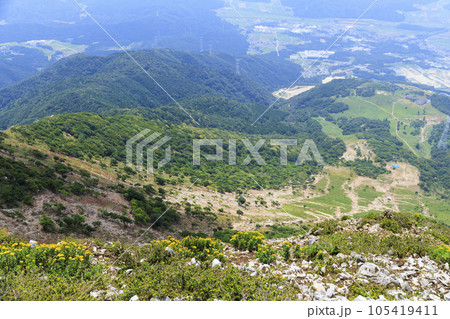 高山植物が咲く夏の伊吹山 高山植物が咲く夏の伊吹山 105419411