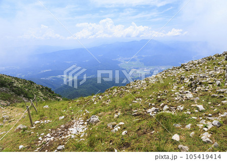 高山植物が咲く夏の伊吹山 105419414