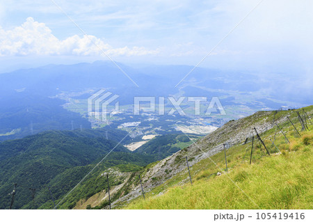 高山植物が咲く夏の伊吹山 高山植物が咲く夏の伊吹山 105419416