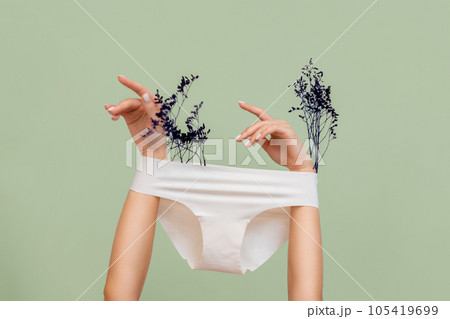 Female's hands, which hold dry plants, arms are wearing white panties. Green background. The concept of epilation of intimate areas and gynecology Female's hands, which hold dry plants, arms are wearing white panties. Green background. The concept of epilation of intimate areas and gynecology 105419699