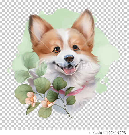 Cute corgi dog. Illustration of puppy and flowers. Hand painted 105419998
